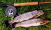 truchas en asturias,pesca truchas,asturias mosca,pesca a mosca pesca mosca